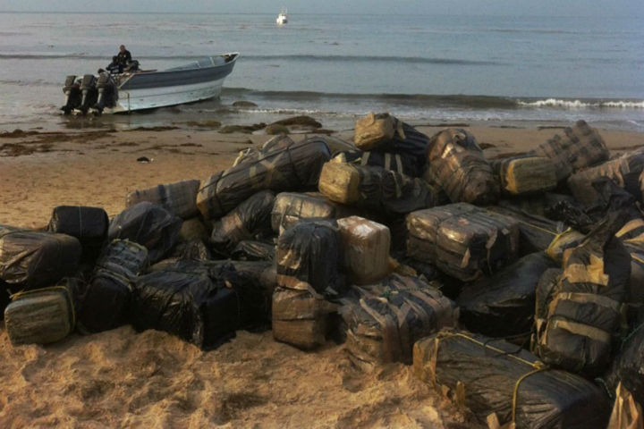 Florida Cops: Don't Grab Weed that Washes Up on the Beach